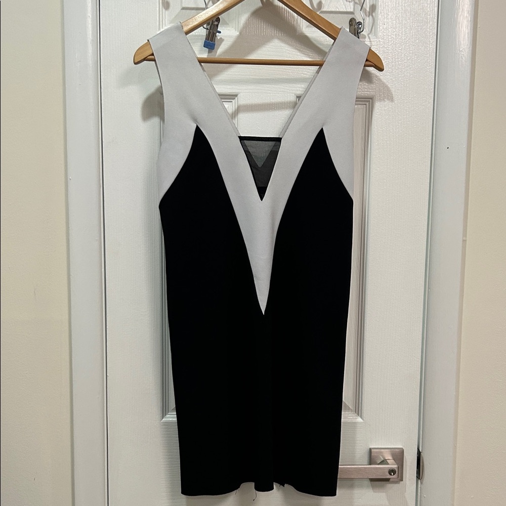 Zara Monochrome V-Neck Dress